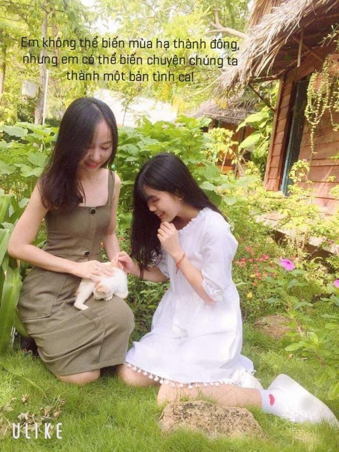 Bach Cuc Homestay Long Hai Eksteriør bilde
