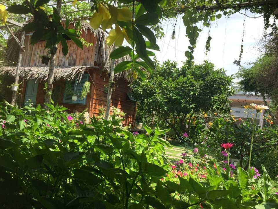 Bach Cuc Homestay Long Hai Eksteriør bilde