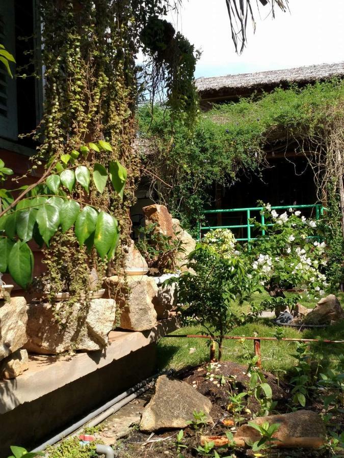 Bach Cuc Homestay Long Hai Eksteriør bilde